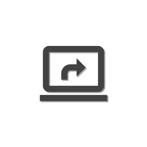 Mirror icon